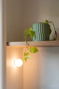 Amega - Beautiful Mount Gravatt East Home Renovation by Dirsell Constructions Brisbane 19